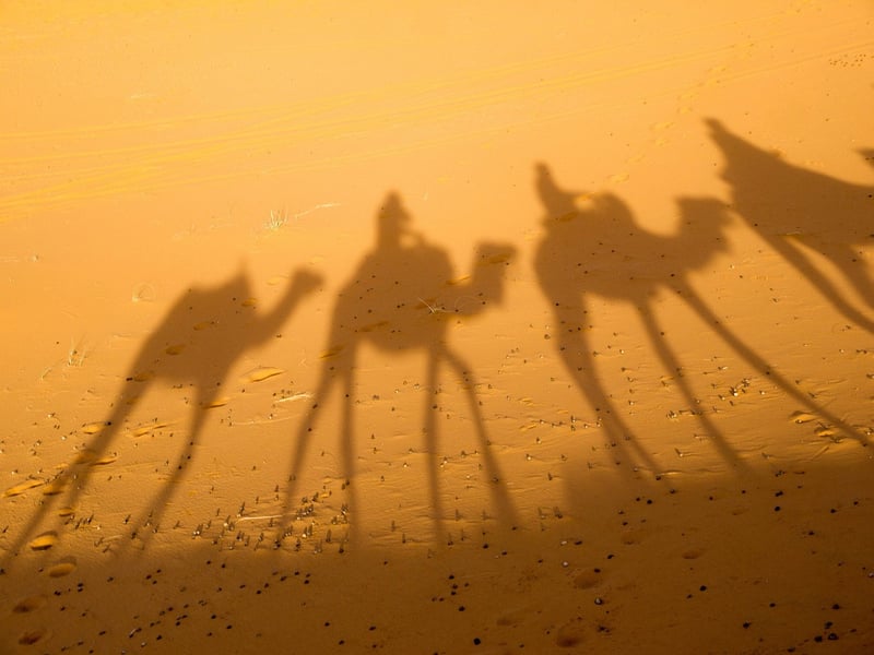 Desert Excursions