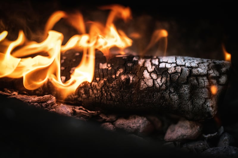 Campfire with Friends